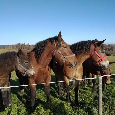 Hébergement de vacances Sloszow 3